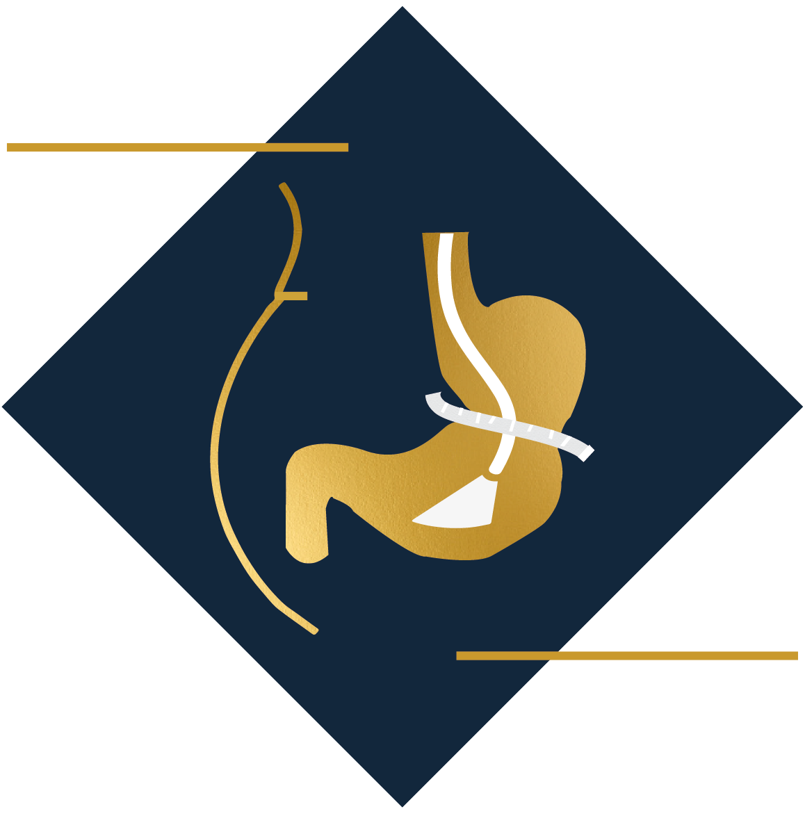 Símbolo oficial del Dr. Luis Manuel Ruiz Saenz